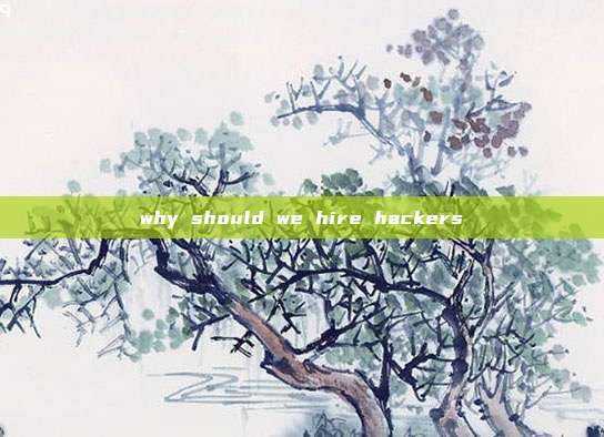 why should we hire hackers
