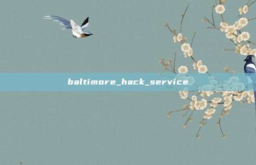 baltimore_hack_service