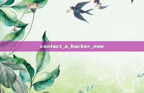 contact_a_hacker_now