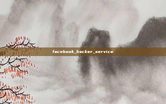 facebook_hacker_service