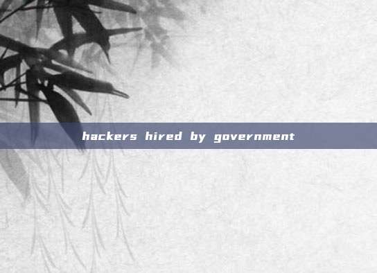 hackers hired by government
