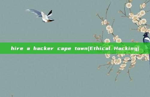 hire a hacker cape town(Ethical Hacking)