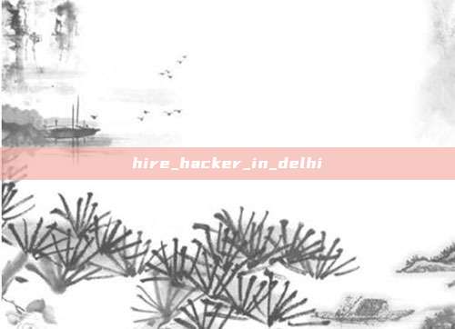 hire_hacker_in_delhi