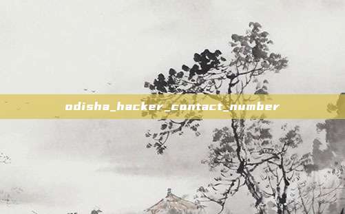 odisha_hacker_contact_number