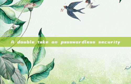 A double take on passwordless security