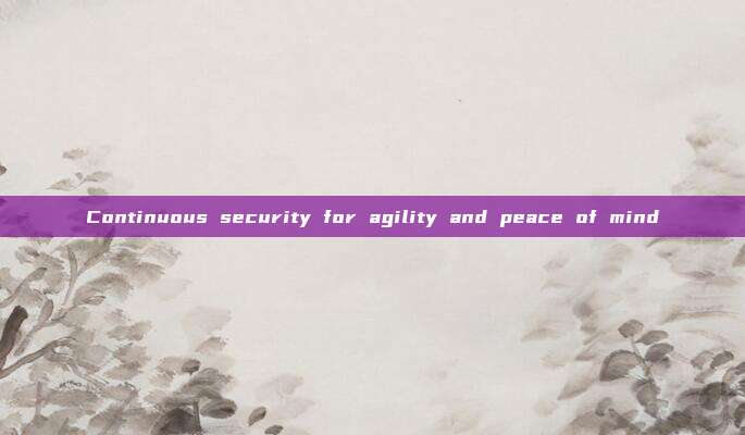 Continuous security for agility and peace of mind