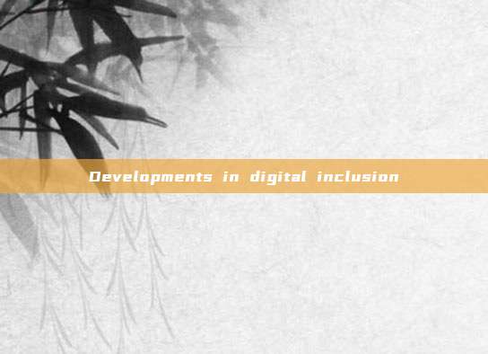 Developments in digital inclusion