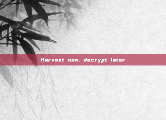 Harvest now, decrypt later