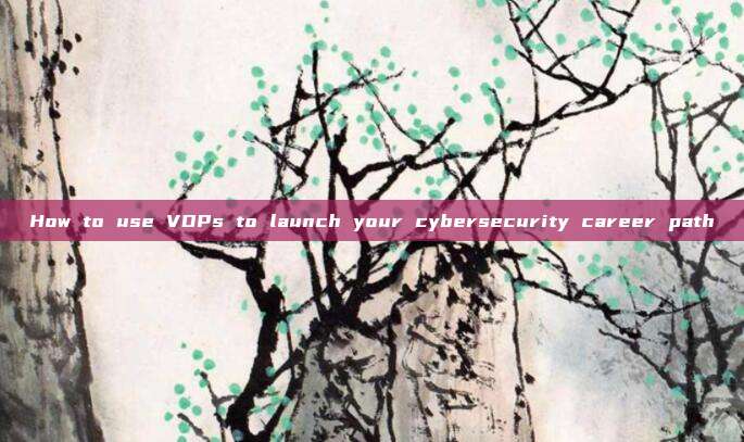 How to use VDPs to launch your cybersecurity career path