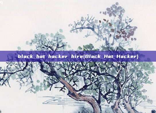 black hat hacker hire(Black Hat Hacker)