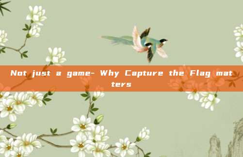 Not just a game- Why Capture the Flag matters