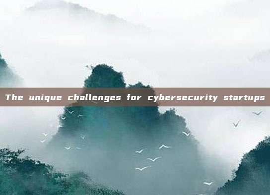 The unique challenges for cybersecurity startups