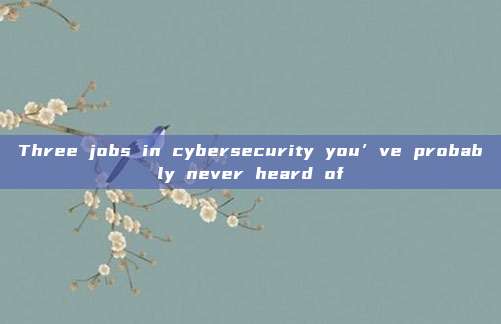 Three jobs in cybersecurity you’ve probably never heard of