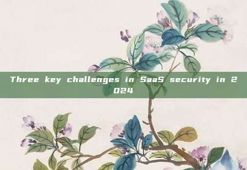 Three key challenges in SaaS security in 2024