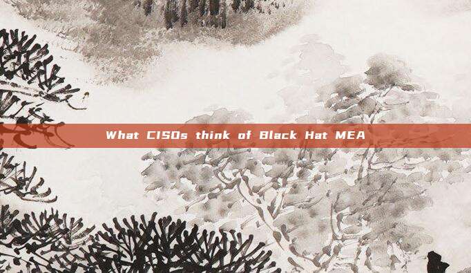 What CISOs think of Black Hat MEA