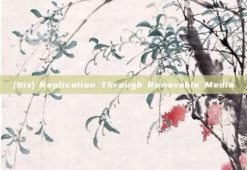 (Six) Replication Through Removable Media