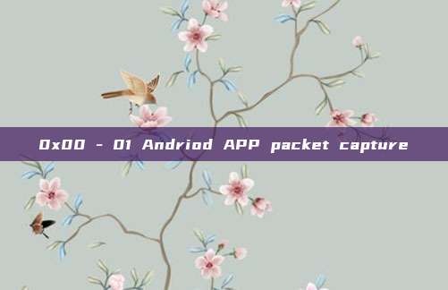 0x00 - 01 Andriod APP packet capture