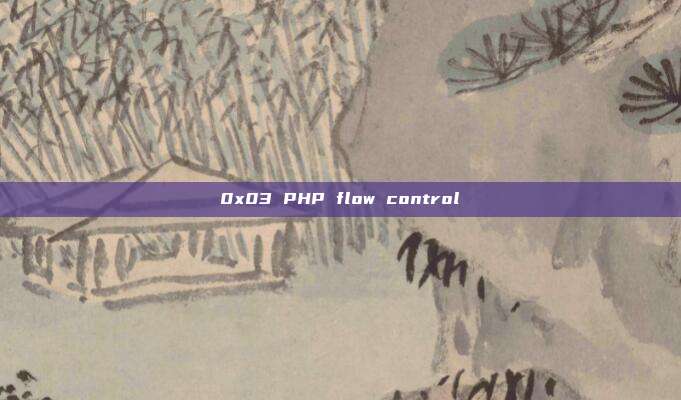 0x03 PHP flow control