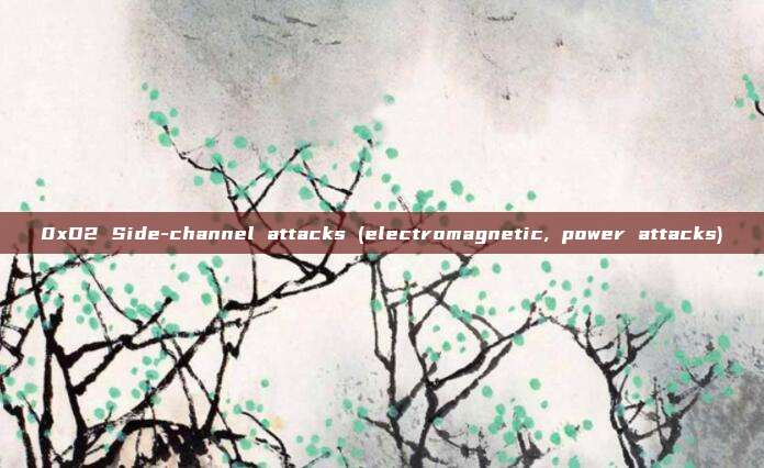 0xD2 Side-channel attacks (electromagnetic, power attacks)